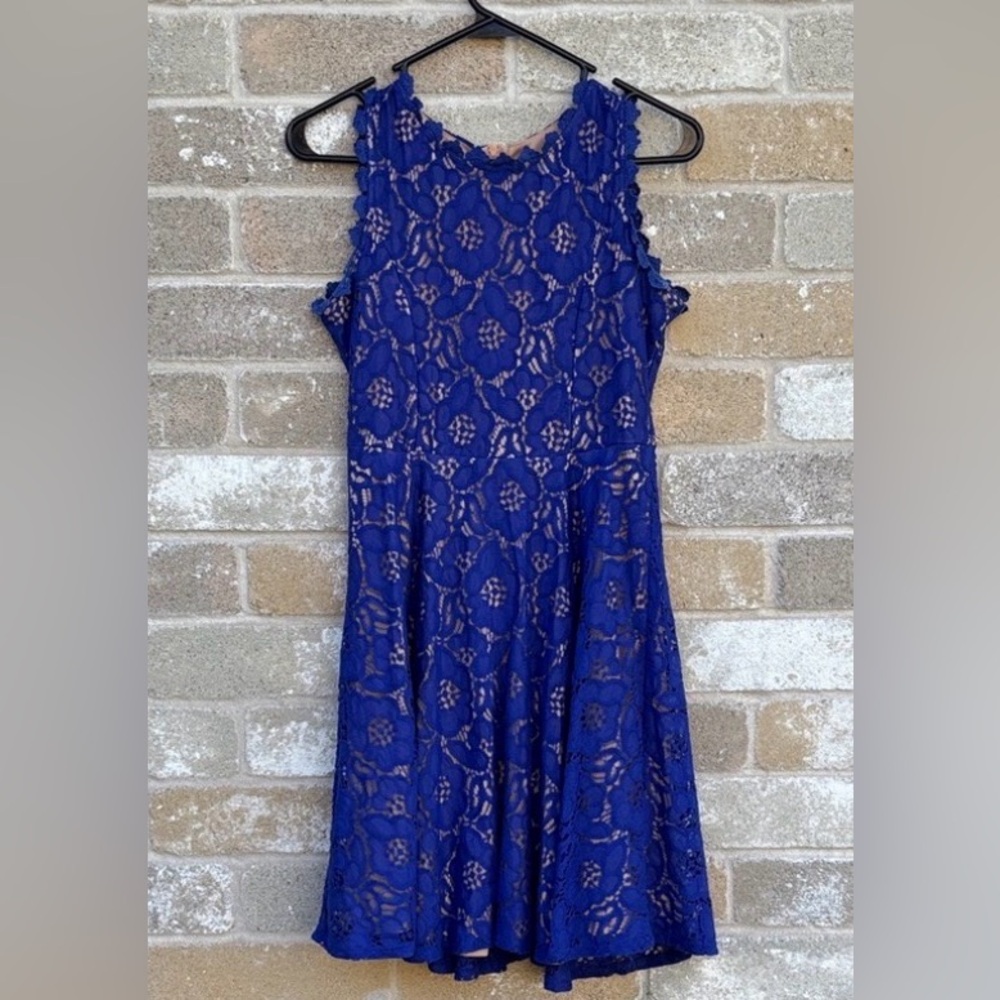 Rare Editions Royal Blue and Nude Lace Dress